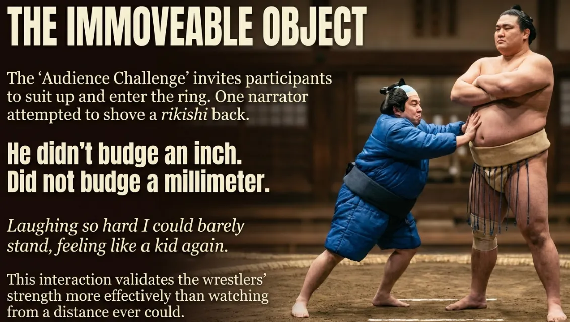 sumo hall hirakuza osaka retired professional rikishi wrestler performing