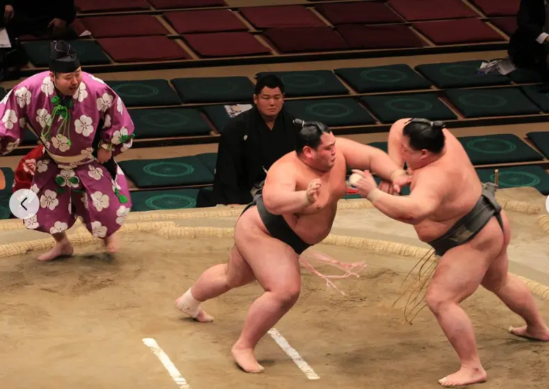 Grand Sumo Tournament Tour, Osaka March 2026 with English Guide