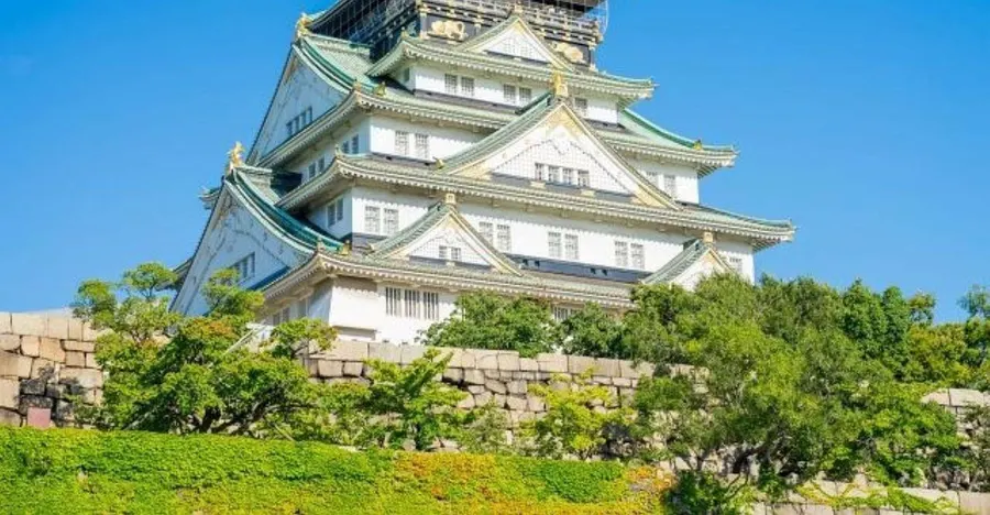 Osaka Castle with sumo dinner show combo tour — a full-day experience covering Osaka Castle, Dotonbori food walk, and sumo dinner in one package