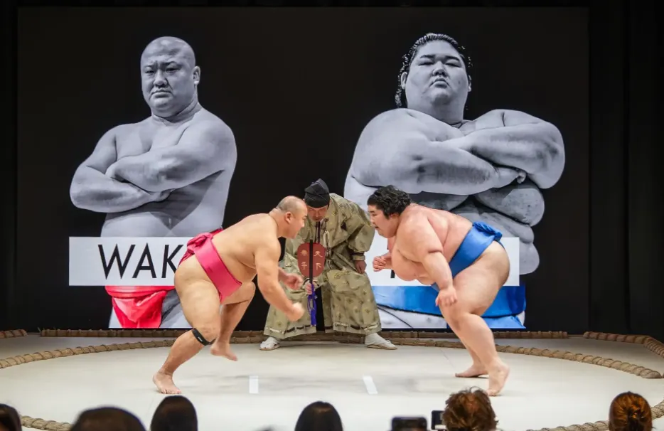 sumo hall hirakuza osaka tickets book interactive show experience